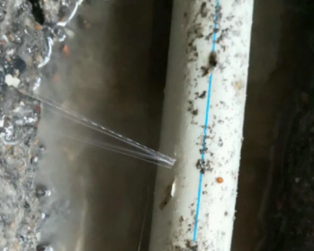 游仙卫生间测漏水多少钱
