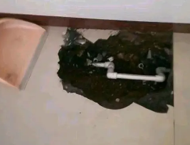 游仙卫生间测漏水多少钱